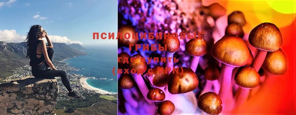меф VHQ Дмитриев