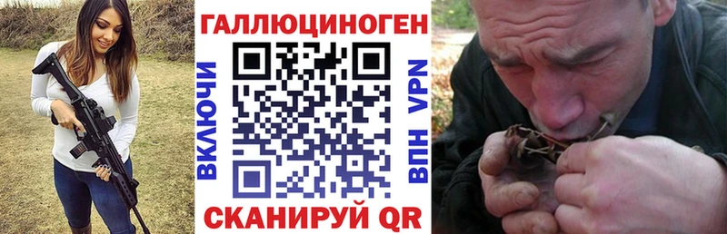 Купить закладки Исилькуль Псилоцибиновые грибы MAGIC MUSHROOMS